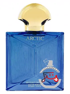 آرکتیک گالف ارکید | arctic gulf orchid